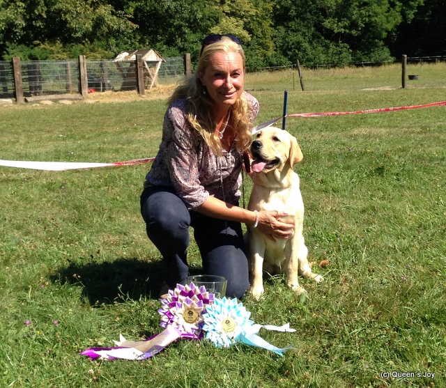 labrador, news 2012 Queens joy