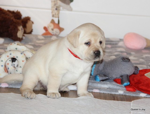 Roxy Harrys 4t 12 001