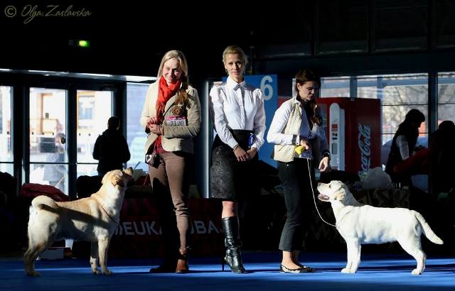 Jackpot__Kima_Brno