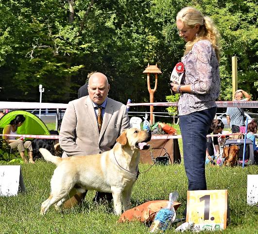Jackpot_kv_horka