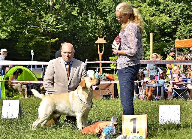 Jackpot_kvhorka