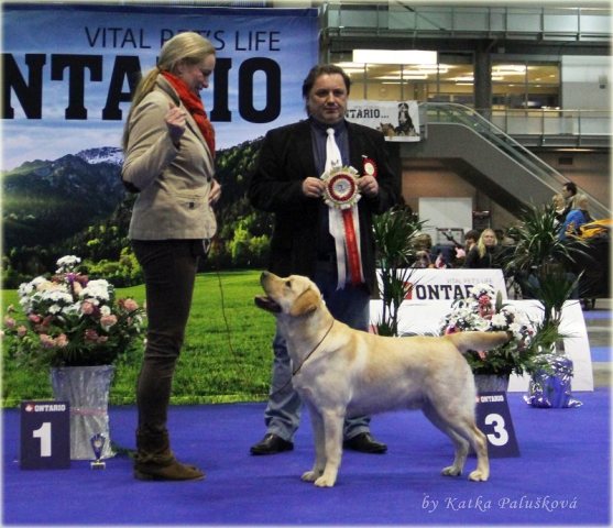 jackpot_brno