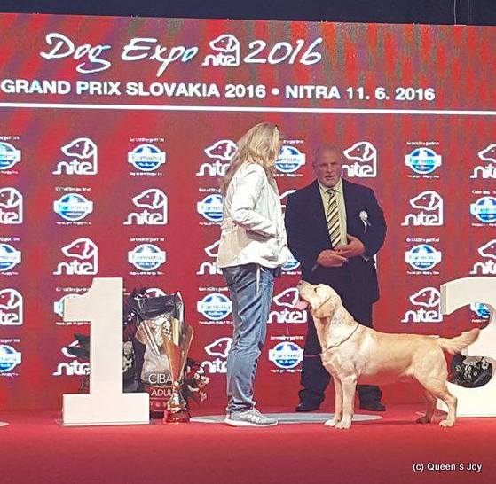 Jairo_nitra2016_5